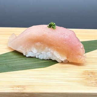 Albacore